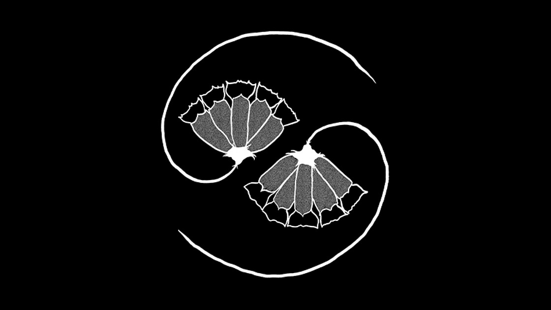 Elevate presents: Godspeed You! Black Emperor